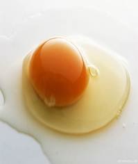 pic for fried egg